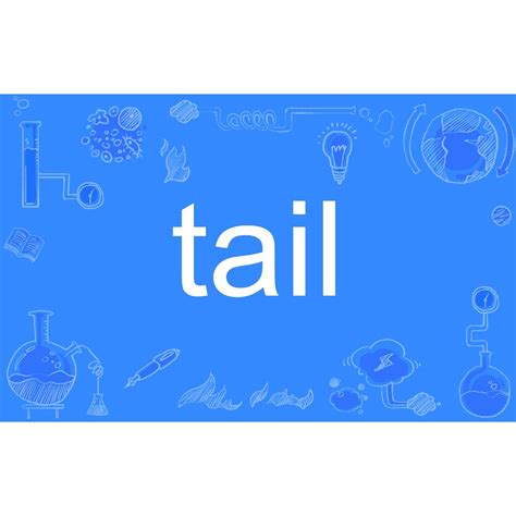 tail（英文单词）_百度百科