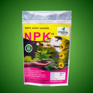 Khaad NPK 19 Fertilizer- Balanced Plant Nutrition for Stronger Roots ...