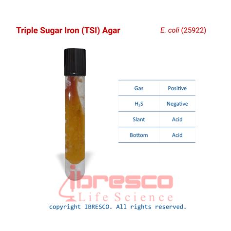 Triple Sugar Iron (TSI) Agar | ibresco