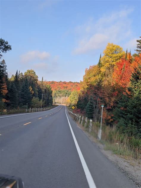 Country Roads 的图像结果