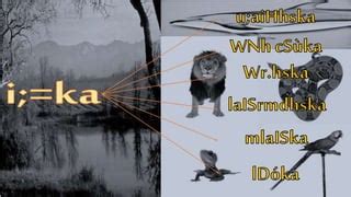 Image result for Public Main Java