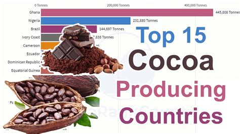 How big is a cocoa tree? - Rankiing Wiki : Facts, Films, Séries, Animes ...