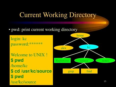 Image result for File Codeing