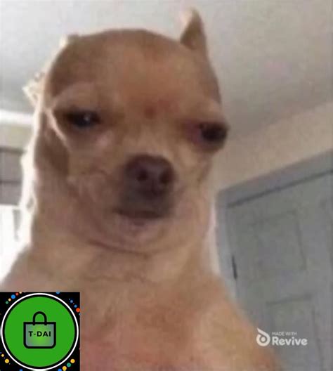 10 angry dog meme will make you laugh – Artofit