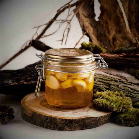 Easy Fermented Garlic Honey: Benefits And Recipe - The Outdoor Apothecary