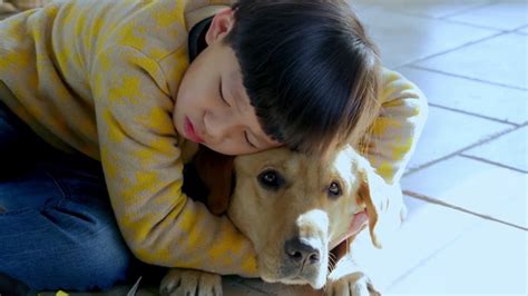 神犬小七第二季 - 完美世界影视官方网站