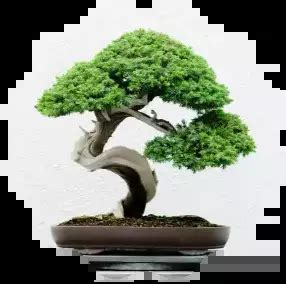 Image result for Code Monkey Unity PNG