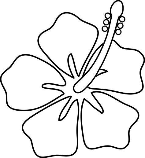 Hibiscus Flower Line Art - Free Clip Art