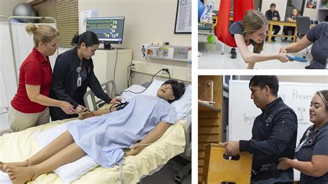 Image result for Occupational Therapy Assistant Program Software