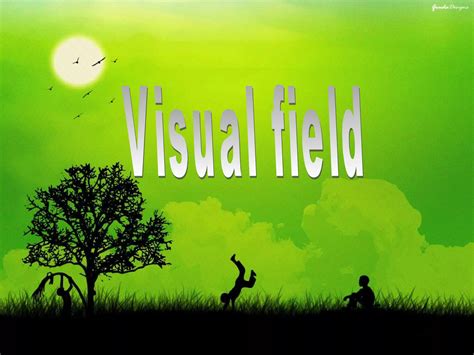 Image result for Visual Field Image Meaning