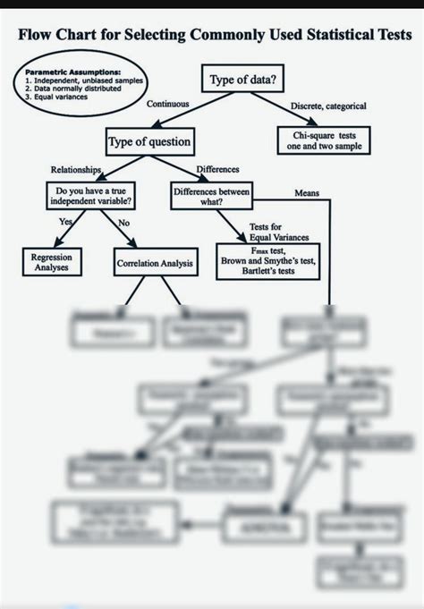 Statistics Flow Chart 的图像结果