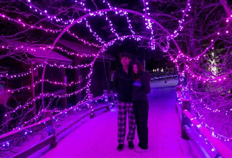 Zoo Lights- Anchorage, Alaska Zoo, Anchorage, 19 December 2025 | AllEvents