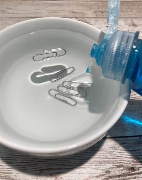 Image result for Paper Clip Experiment