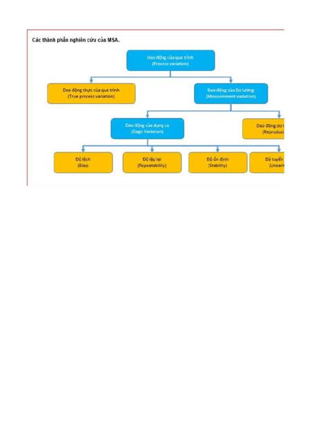 Image result for MSA Programs Requirements