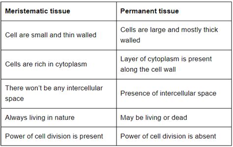 Class 9 Science Chapter 6 Question Answers - Tissues
