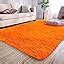 Buy SEALION Carpet for Hallway, Kitchen, and Modern Interiors, Cozy ...