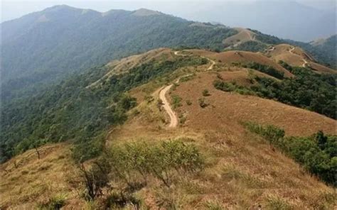Experience Unparalleled Natural Beauty On Your Trip To Sakleshpur ...