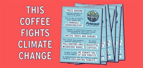 Forecast Coffee Company — Cameron Jennings Design