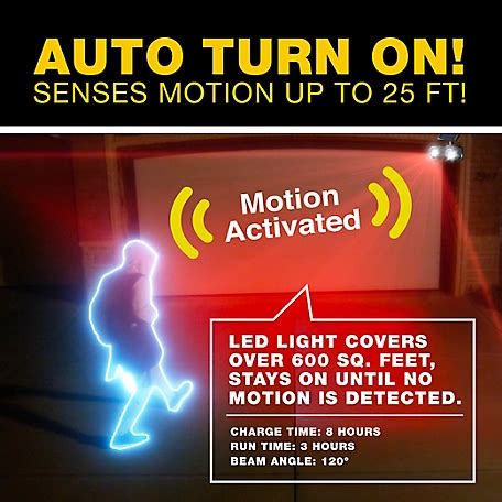 Rezultat imagine pentru Www.bionic Spotlight.com