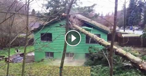 Logging Tree Fails Compilation 的图像结果