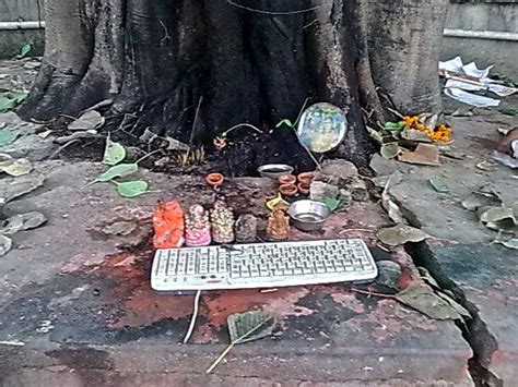 Indianism of the Week #51 - living garbage : Uma Asher - Business Today ...