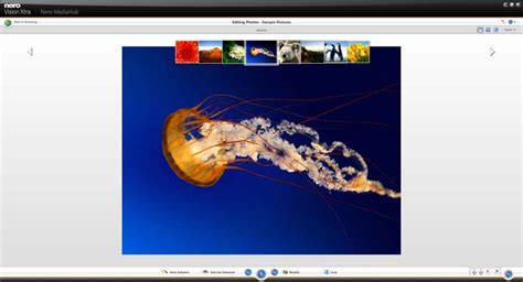 Nero Multimedia Suite 10: Nero MediaHub Review