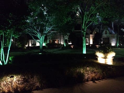 Landscape Tree Lighting 的图像结果