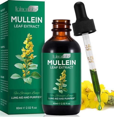 Amazon.com: Beyxdu Mullein Leaf Extract Mullein Leaf Extract for Lungs Mullein Drops Mullein ...