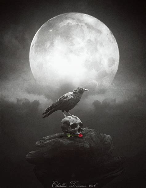 HD wallpaper: Animal, Crow, Black, Dark, Gothic, Raven | Wallpaper Flare