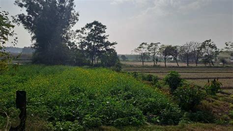 25 Sq.ft. Agricultural/Farm Land for Sale in Dasuya Road, Hoshiarpur ...