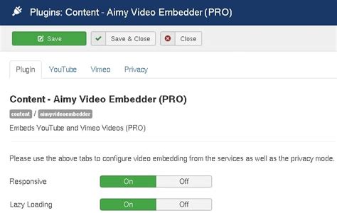 Image result for Lazy Loading Video Example