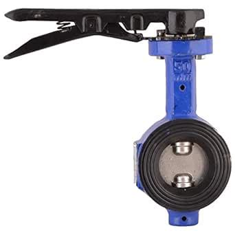 Lehry Cast Iron Butterfly Valve SGI Disc : Amazon.in: Industrial ...
