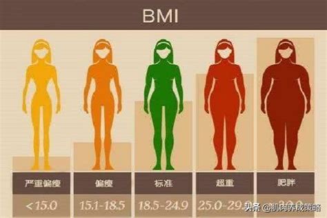 bmi指数男女标准 bmi计算公式 - 天奇百科