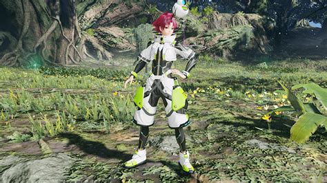 Image result for PSO2 Braver Class
