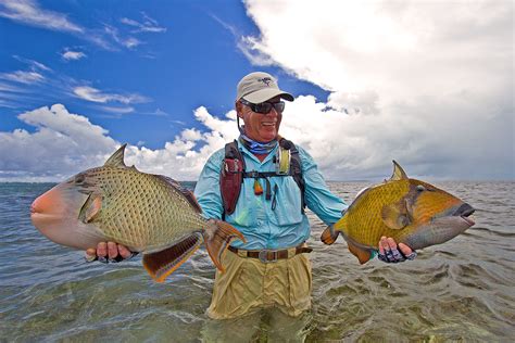 Image result for Catching Triggerfish