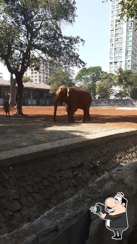 Menu at Cafe Wild, Mumbai