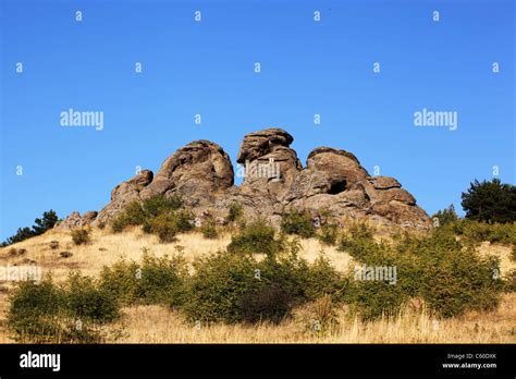 Nature Park 的图像结果
