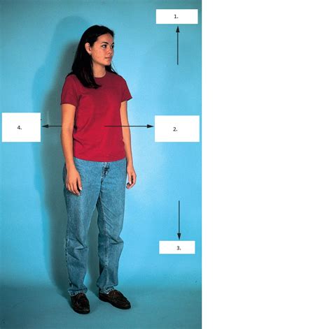 Image result for Anatomical Position Explained