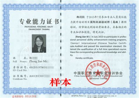 国际汉语教师职业资格证书_360百科