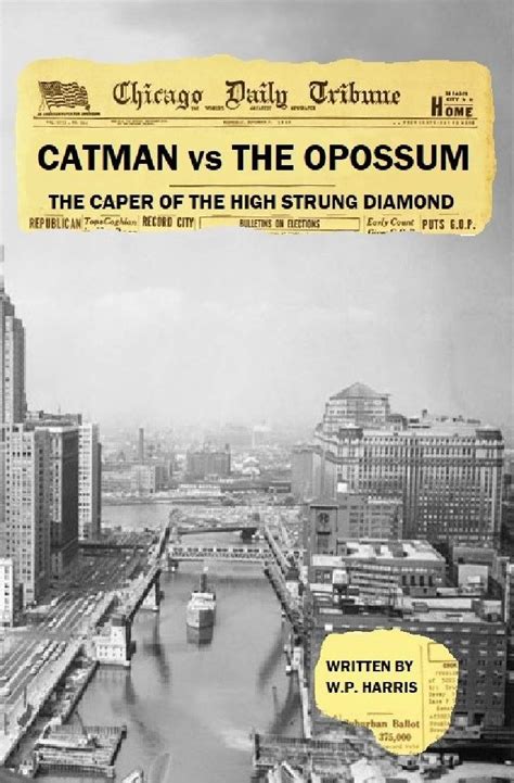 Catman vs The Opossum: The Caper of the High Strung Diamond eBook ...