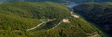 PYLLI I ARINJVE Prishtina - një habitat i përshtatshëm për arinjtë e ...