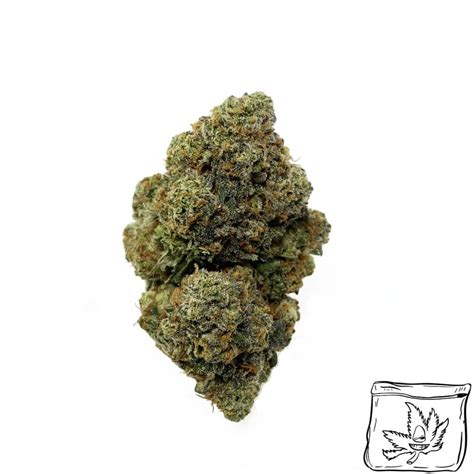 Snow White | Buy Weed Online | Buy Week Packs