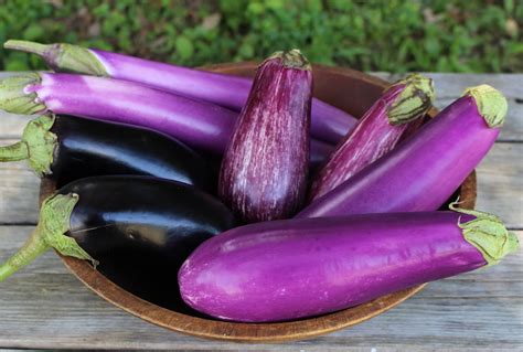 Is Eggplant A Fruit Or Vegetable at Booker Zuniga blog
