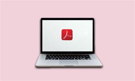 Adobe Acrobat Pro Tutorial Beginner 的图像结果