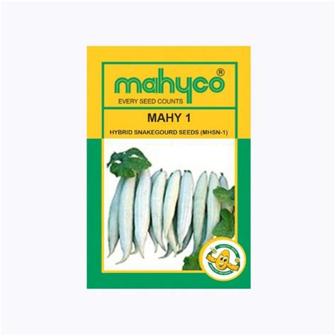 Buy Mahyco Snakegourd HY. MAHY 1 – High Yield Hybrid with Slender White ...