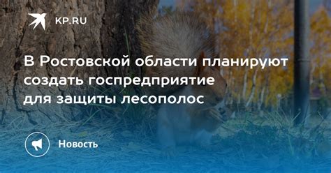 В Ростовской области планируют создать госпредприятие для защиты ...