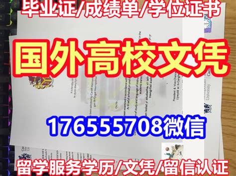 国外留学回来怎么认证学历留学回国学历认证流程Word模板下载_编号lowgrxea_熊猫办公