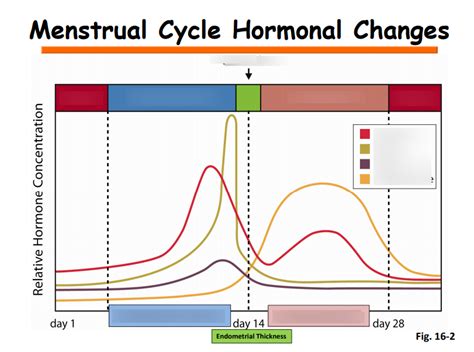 Period Cycle Graph 的图像结果