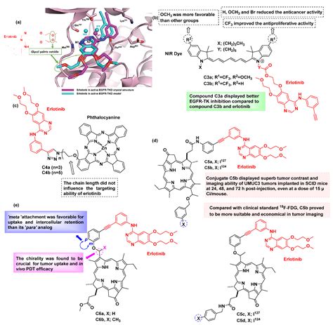 Design Principles and Applications of Fluorescent Kinase Inhibitors for ...