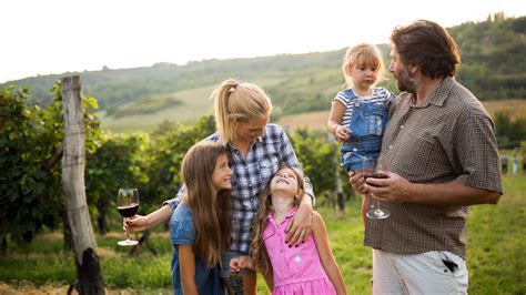 A Guide to Kid-Friendly Wine Estates in the Cape | Wine in the Cape